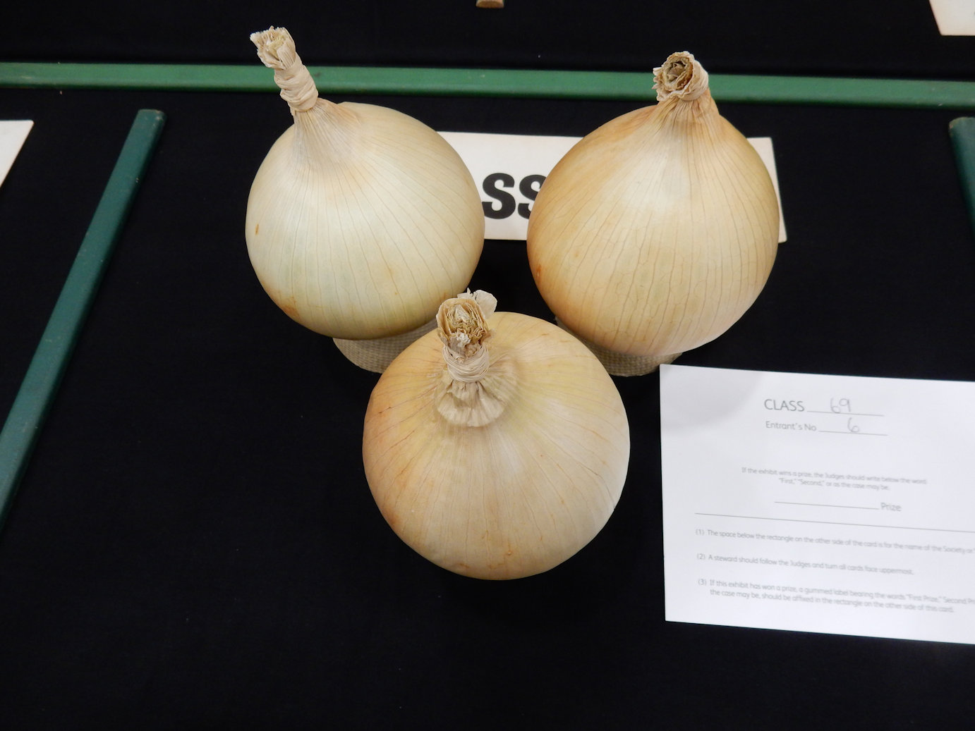 Large onions